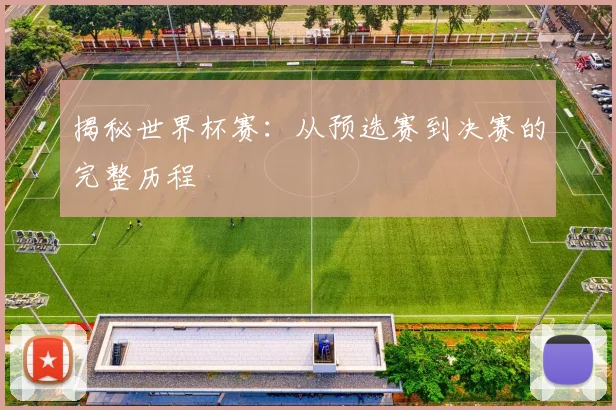揭秘世界杯赛：从预选赛到决赛的完整历程